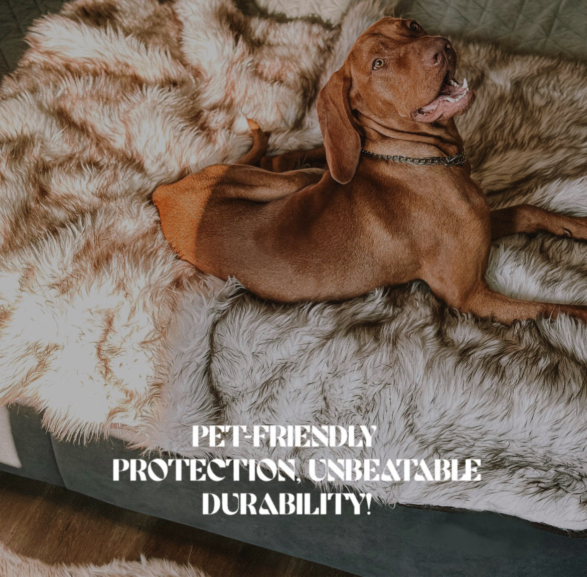 Waterproof pet blanket